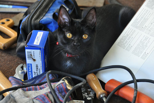 Dot in a pile of tools